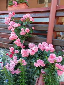 Cabana Daianna si Jessica