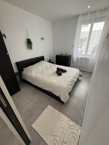 Appartements Charmant T4 avec jardin, proche jardin des plantes : photos des chambres