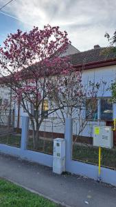 Cosy House 400 m from Iulius Town