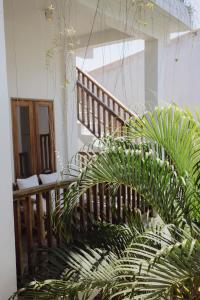 Nalua Surf Boutique Hotel