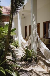 Nalua Surf Boutique Hotel