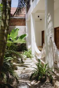 Nalua Surf Boutique Hotel