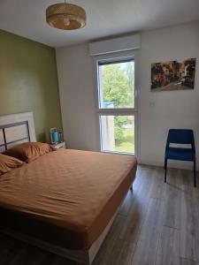 Appartements Appartement cosy proche Sceneo, Auchan, Saint-Omer : photos des chambres