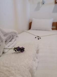 Camping Cremona Turanj Mobile Home Red