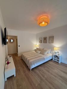 Appartements Spacieux studio proche gare : Appartement 1 Chambre