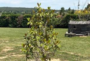 Maisons de vacances Le mas : photos des chambres