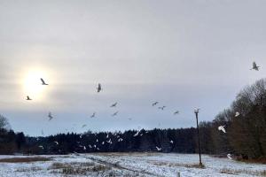 Pension Tweete Heimat