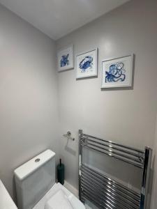 Large House Near Racecourse, City & Uni