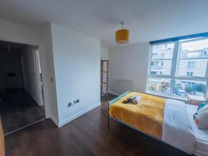 Leicester Luxury Apartment Freemens Meadows