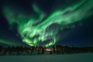 Kelo Resort - northern lights and wilderness adventures in Kittilä
