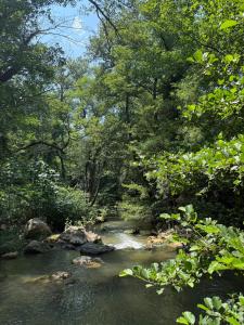Maisons de vacances Maison avec riviere House with river : photos des chambres
