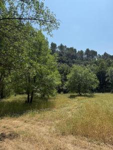 Maisons de vacances Maison avec riviere House with river : photos des chambres