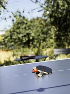 Hotels Domaine de la Reine Margot Paris-Issy - MGallery Collection : photos des chambres