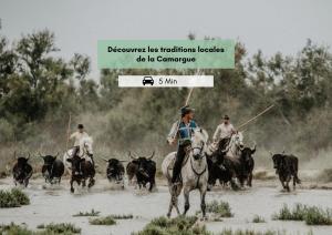 LESTANQUET - CLIM - Balcon - Plage - Grau-du-Roi