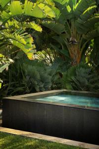 Bright oceanfront bungalow, views, garden, coastal