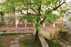 Il Giardino della Giudecca Trani