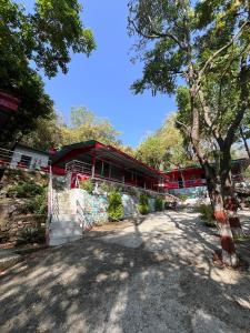 Golden Eagle Hidden In The Jungle Resort