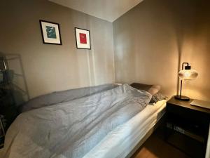 Cozy apartment with west facing balcony at Teisen