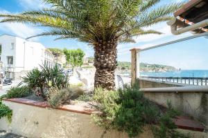 Sable entre les Orteils - Studio vue mer