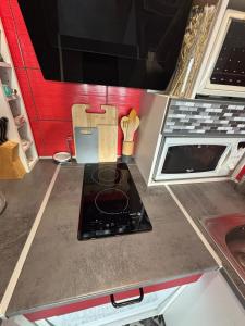 Appartements Grand Pre A Residence Saint-Lary-Soulan : photos des chambres