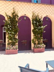 Gentile Suite Decumani