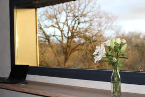 Maisons de vacances Ecolodge Entre Nature & Silence Au Coeur du Quercy : photos des chambres