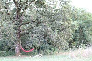 Maisons de vacances Ecolodge Entre Nature & Silence Au Coeur du Quercy : photos des chambres