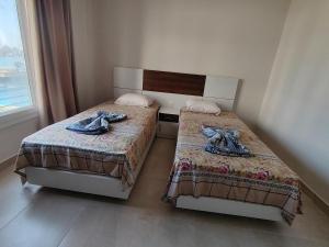 شاليةK12 Long Island village, Marsa Matrouh family only