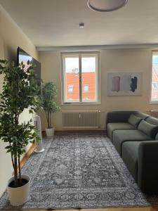 cozy big old town apartment