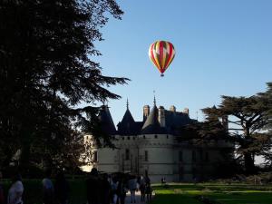 Maisons de vacances L-Escale Blesoise : photos des chambres