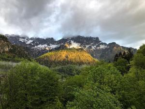 Bergromantik Ferienwohnung Charme mit einer Infrarotkabine und Bergblick