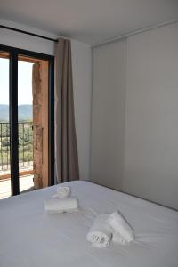 Bergerie avec piscine chauffée Sotta