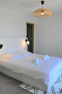 Bergerie avec piscine chauffée Sotta