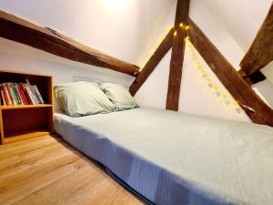 Appartements Appartement cosy & mezzanines : photos des chambres