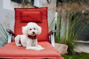 Appartement Kranich - Moderne Ferienwohnung direkt am Schloss Ranzow!