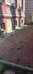 Appartements Le Jardin du Clocheton, jardin et parkings prives, centre Etretat : photos des chambres