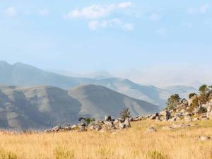 Mount Sheba Rainforest & Resort Self Catering Cottages