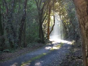 Mount Sheba Rainforest & Resort Self Catering Cottages