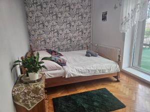 Pokoje gościnne u Andrzeja