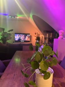 Penthouse tomorrowland 700m from entrance