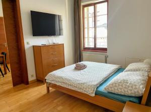 Apartmán Pistácia priame centrum BB