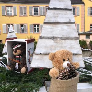 Appartements DUPLEX 15 : photos des chambres