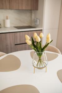 Ava Central Apartment