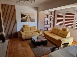 Luxury Park Apartment