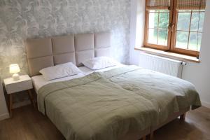 Dom w lesie przy stawach