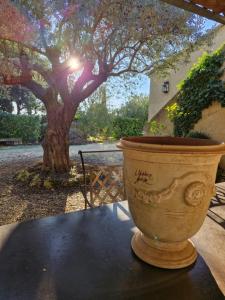 Bastide des Oliviers