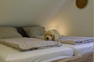 Inselblume 34 - Ferienwohnung mit Loggia