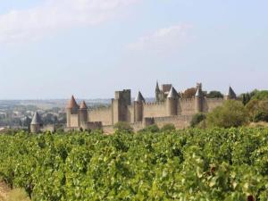 Villas Villa in Felines-Minervois with Pool : photos des chambres