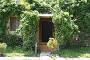 3 bedrooms farmhouse, homestay near trimbak