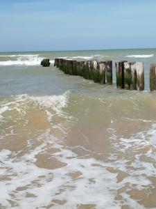 Maisons de vacances L-Escale : photos des chambres